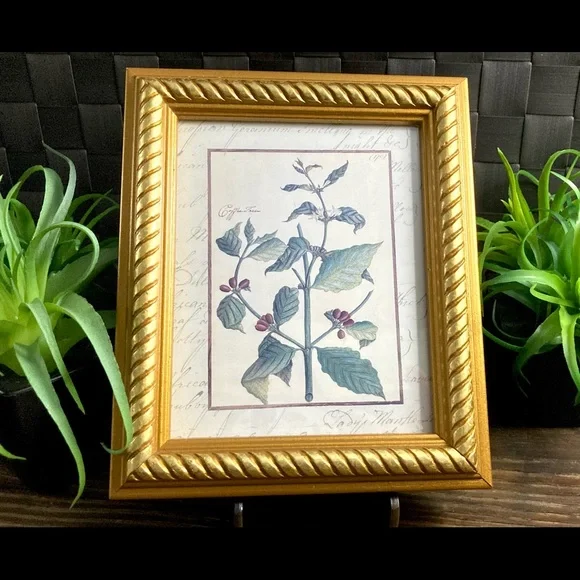 Vintage Custom Framed Botanical Illustration Print Coffee Tree - Picture 5 of 11